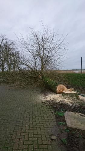  1 20210630 1834839372