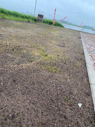  1 20210702 1478636385