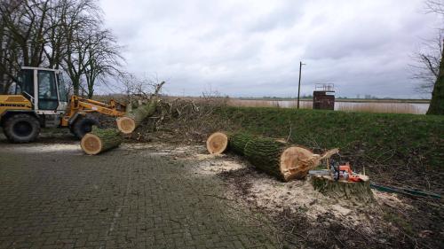  2 20210630 1868337481