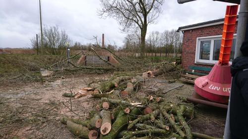  3 20210630 1941361887