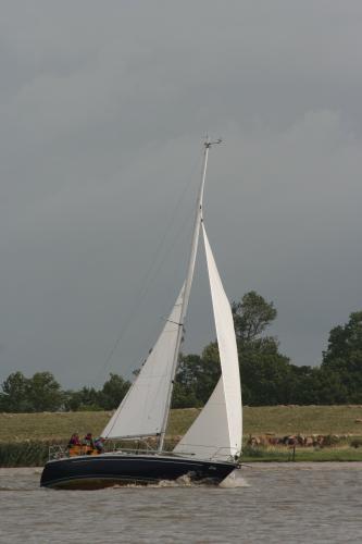 img 1214 20121001 1452441590