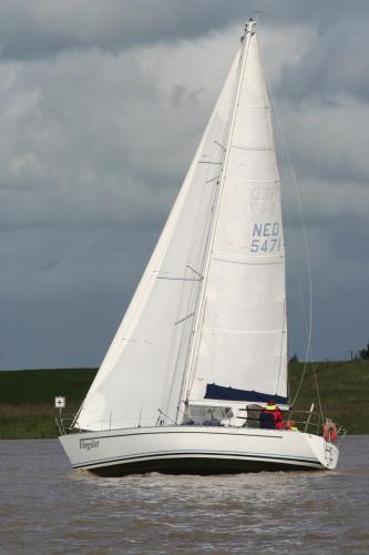 img 1311 20121001 1129836485