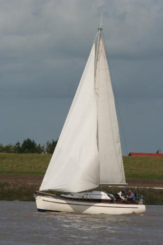 img 1441 20121001 1216655265