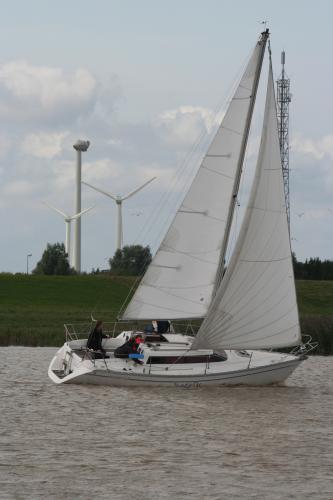 img 1485 20121001 1609206910