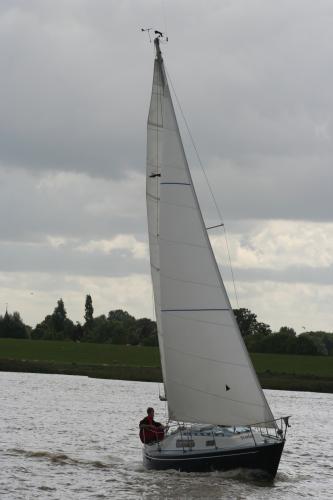 img 1519 20121001 1674630987