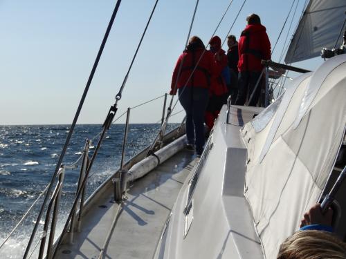 dsc00157 20130901 1741664255