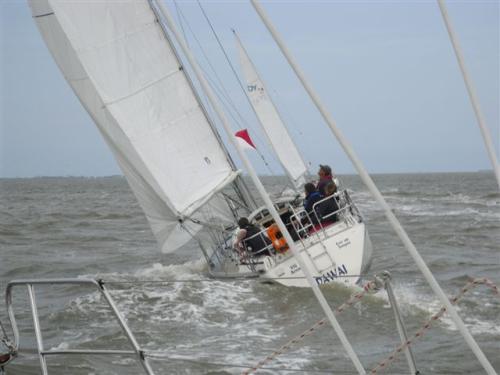 cimg1805 20120606 1795024073