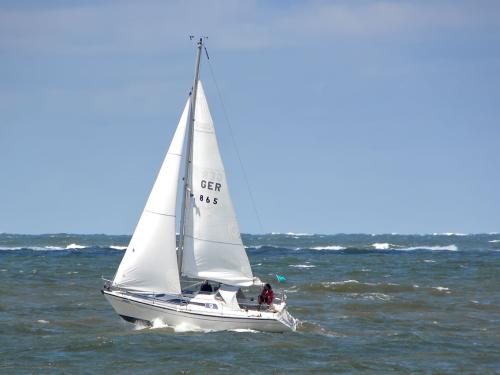 borkumhelgolandregatta foto josgrimme 16 20120606 1927599220