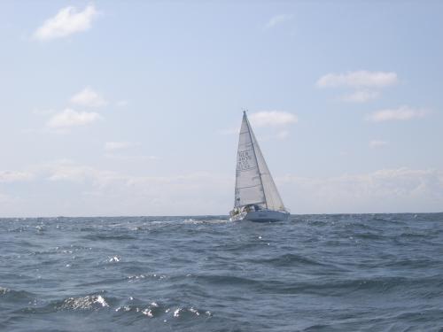 rimg0386 20120606 1489777048