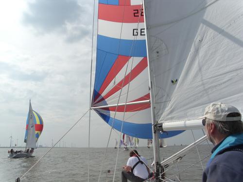 dsci0057 20120606 1349504303