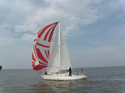 dsci0058 20120606 1514177624