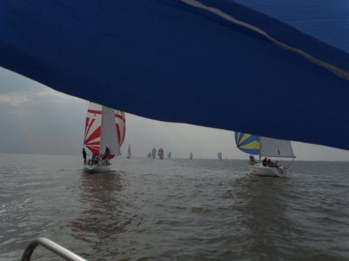 dsci0083 20120606 1902735502