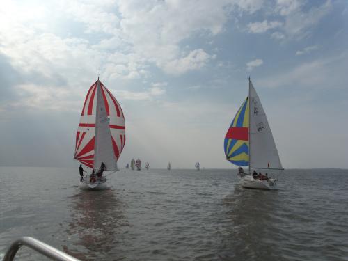 dsci0084 20120606 1791029620