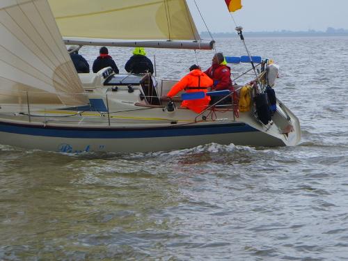 ssl22032 20120606 1063565101