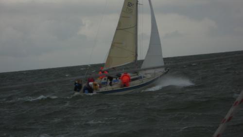 dsci0527 20120606 1886860749