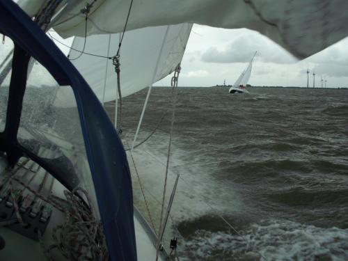Delfzijl-Borkum Race 2011
