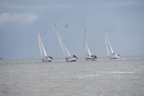 dsc04266 20151108 1469513455