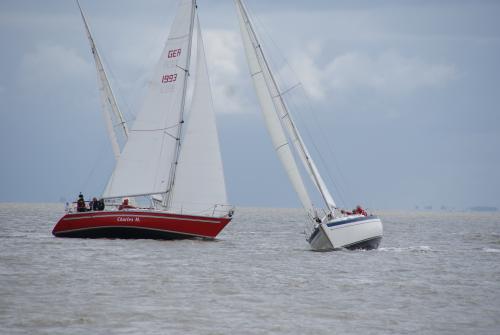 dsc04277 20151108 1258844734