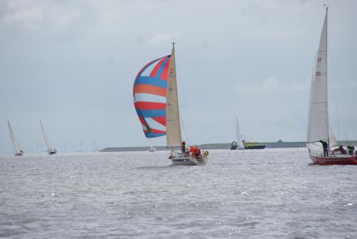 dsc04331 20150603 1737203857