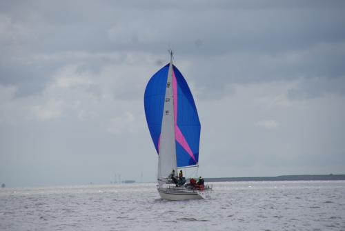 dsc04412 20150603 1849924935