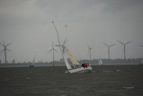 dsc04442 20151108 1646446029