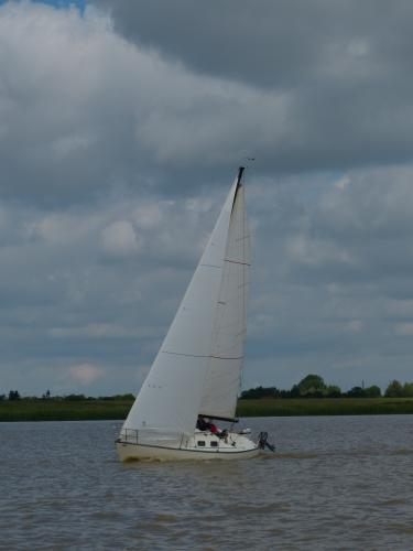 p1050021 20160822 1063592948