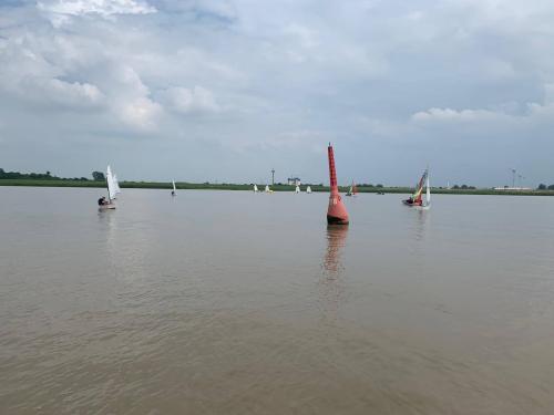  1 20210628 1448536852