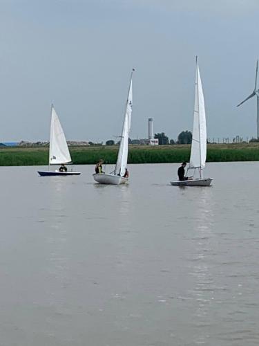  1 20210628 1461557171