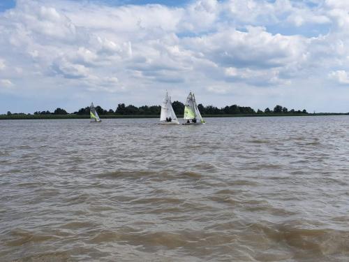  1 20220704 1560529599