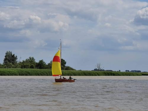  1 20220704 2043192893