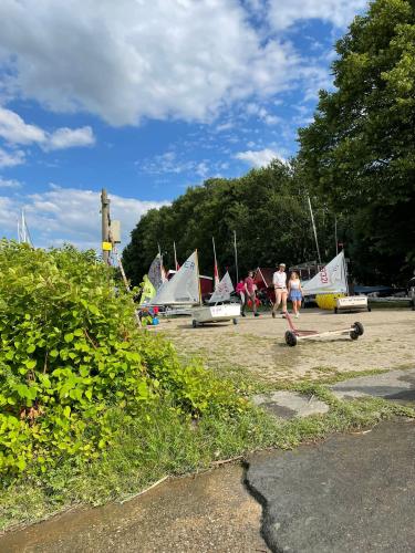  3 20220704 1773701193