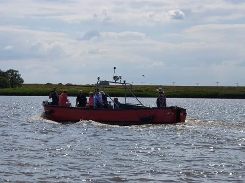  3 20220704 1808659026