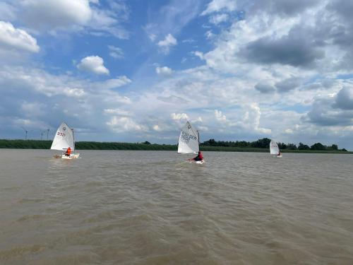  3 20220704 1823652815