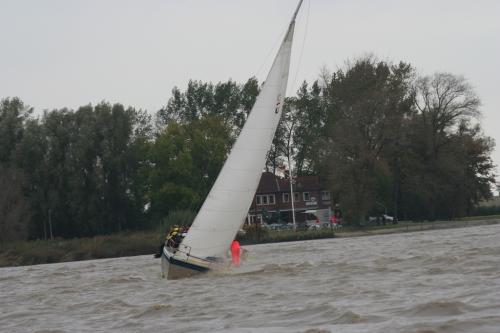 img 6503 20120606 1465668694