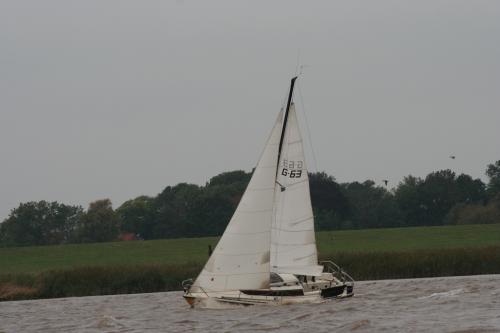 img 6610 20120606 1748670725