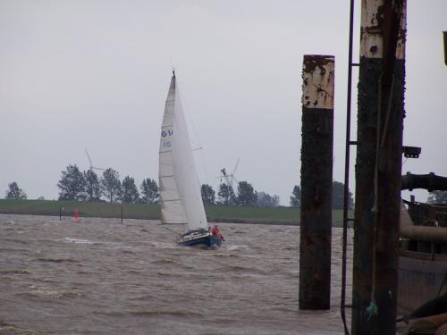 luvup rtr 09 upl 12 20120606 2039367744