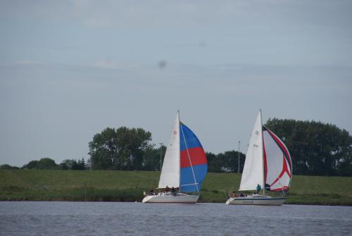 dsc06382 20161108 1214305254