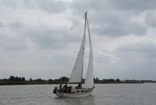 dsc06386 20161108 1071843491