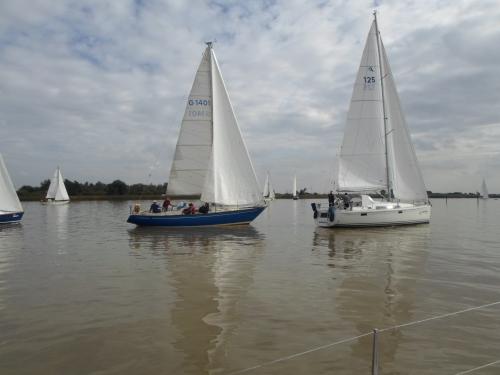 sam 0237 20161108 1255298657