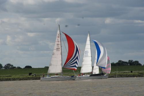 dsc08051 20181007 1625438823