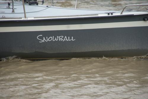 dsc00716 20201006 1922844219