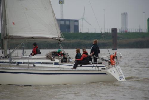 dsc00726 20201006 1331261730