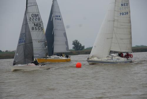 dsc00743 20201006 1269646067