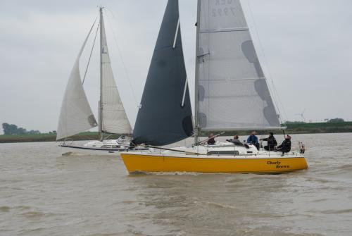 dsc00764 20201006 1914524649