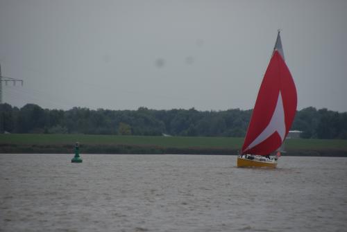 dsc00855 20201006 1480109267