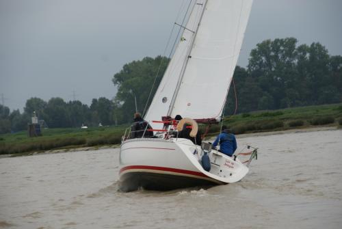 dsc00865 20201006 1864892645