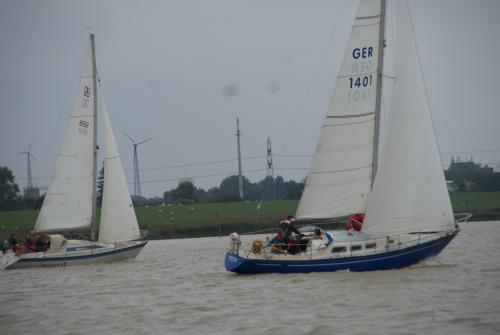 dsc00867 20201006 1320513672