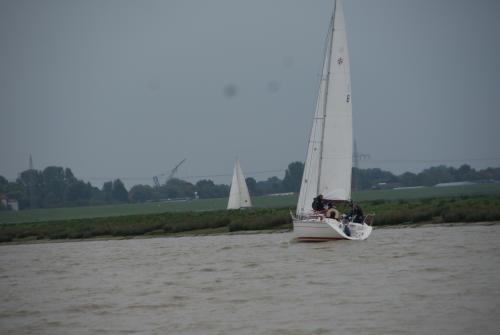 dsc00868 20201006 1960563084