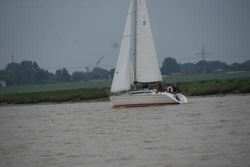 dsc00869 20201006 1086630460