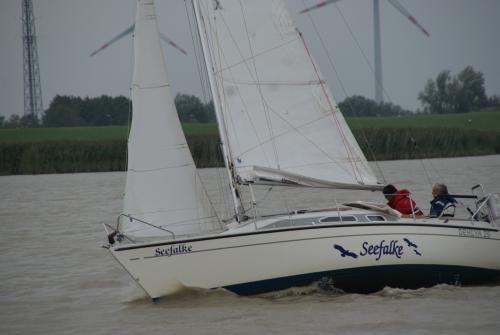 dsc00872 20201006 1042910698